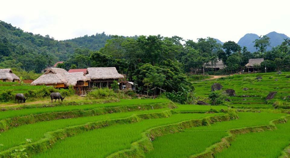 Puluong Valley Home Thanh Hóa Buitenkant foto